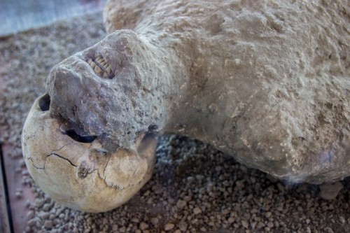 pompeii ash body