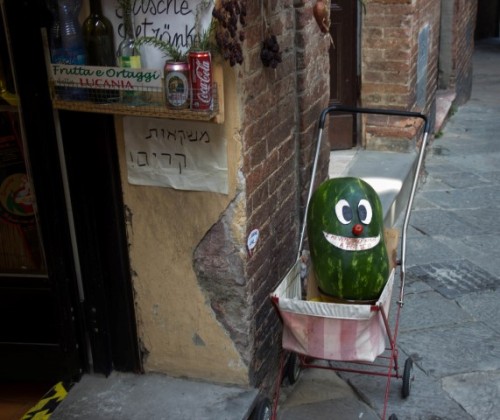 Slightly Amusing Watermelon florence amusing watermelon